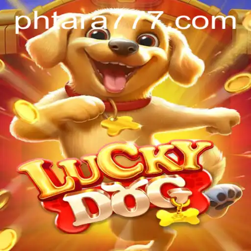 LuckyDog: A New Era of Interactive Fun with Tara777